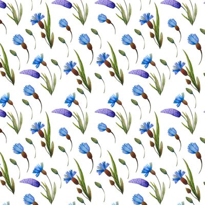 Акварельные васильки на белом
