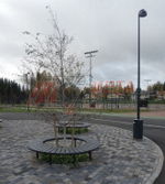 Лавка Блок радиусная