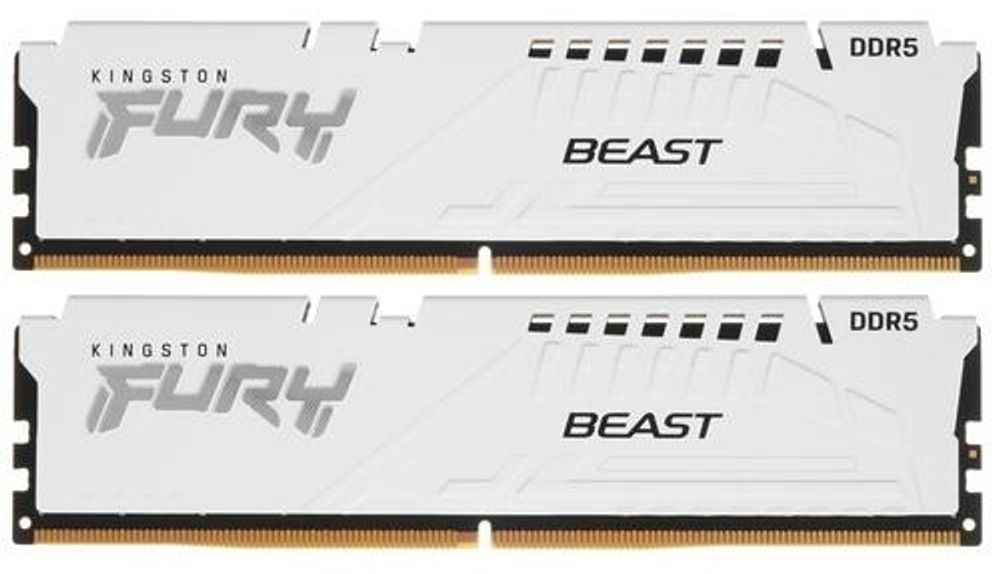 Оперативная память Kingston KF552C36BWEK2-64 64 Гб