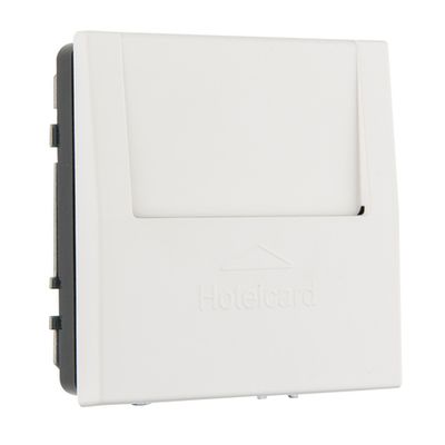 Карточный выключатель LIREGUS MODERN IVKJ2.10-204-01.M/WM белый матированный