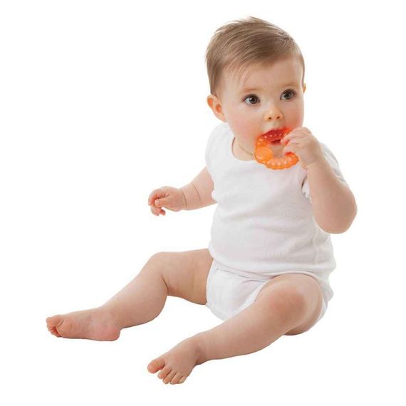 Playgro 3-lü oyuncaq, sulu 3-24 ay