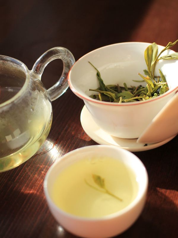 Чайное дерево-альбинос