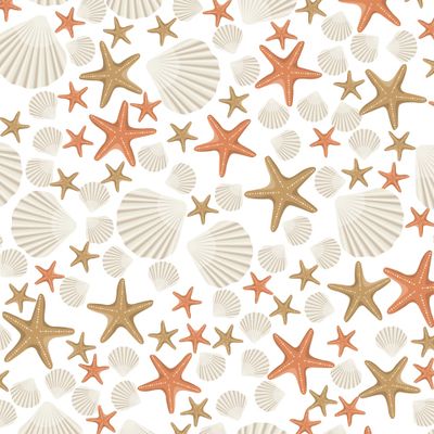 Ракушки и морские звезды на белом