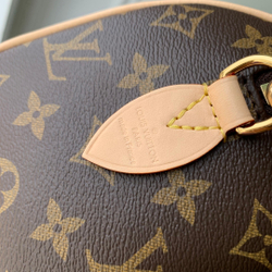 Louis Vuitton Speedy 20