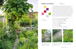 Colour in the Garden: Stylish ideas for year-round colour