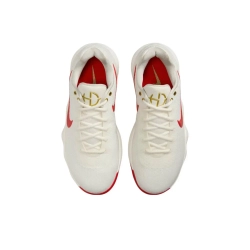 Мужские кроссовки Nike Hyperdunk 2017 Low EP 'Lunar New Year' IB4638-161