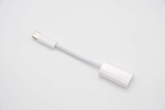 Apple Original USB-C to Lightning Adapter A2868