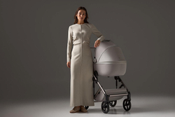 Детская коляска Anex Eli 2 в 1 без рюкзака Santal El-06