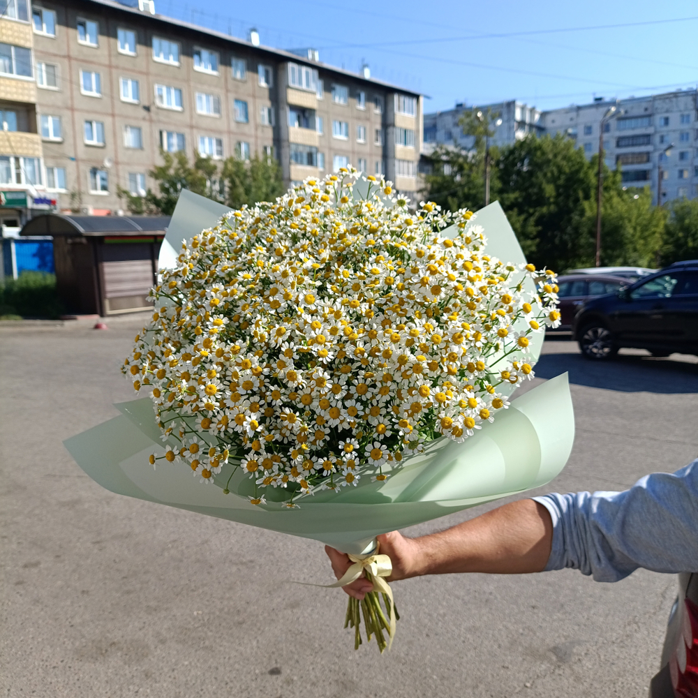 Букет полевых ромашек 25шт
