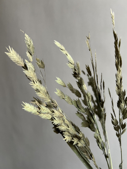 Хасмантиум натуральный