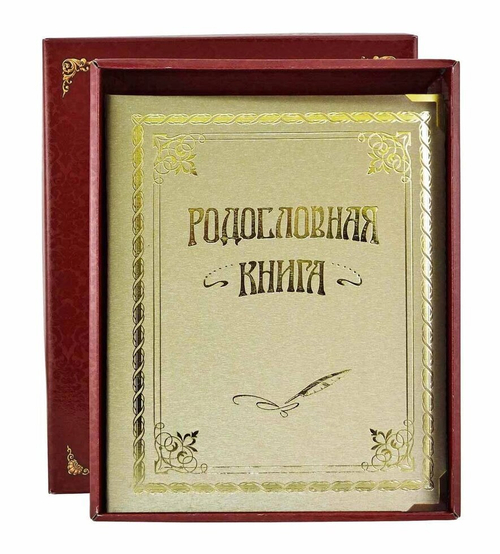 Родословная книга "Классическая" балакрон (в подарочной коробке) РК-01 золото