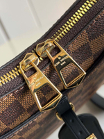 Louis Vuitton Odeon PM
