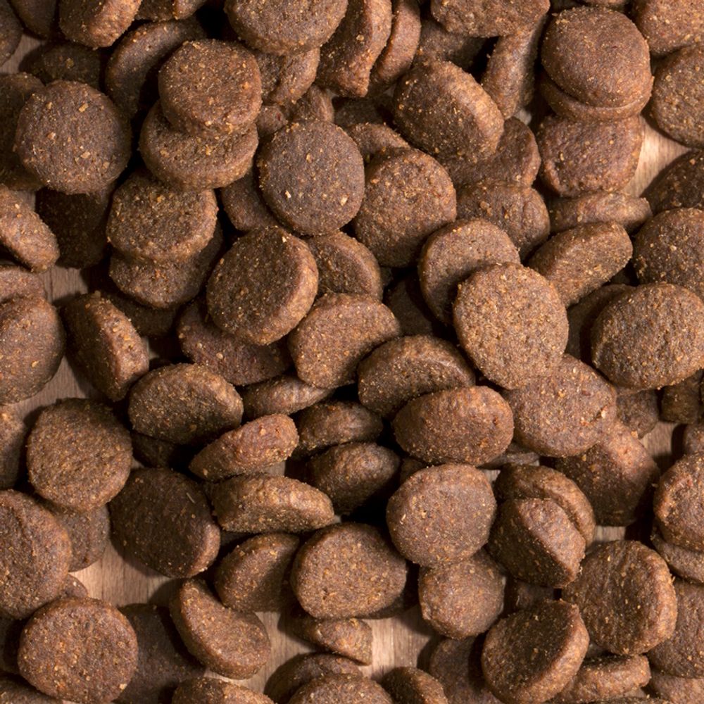 Уценка! Повр.упак./ Сухой корм ProBalance Immuno Adult Maxi для взрослых собак крупных пород