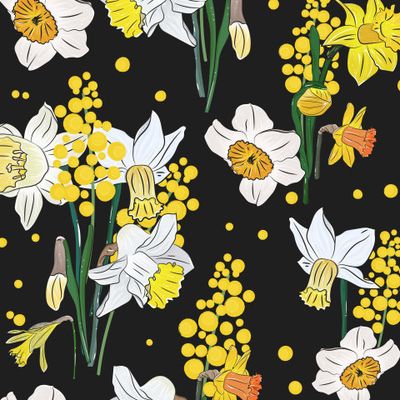 нарциссы и мимоза