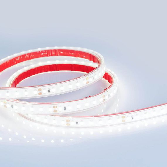 Светодиодная лента Arlight 9,6W/m 120LED/m 3528SMD холодный белый 5M 016835