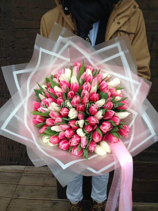 101 тюльпан 78