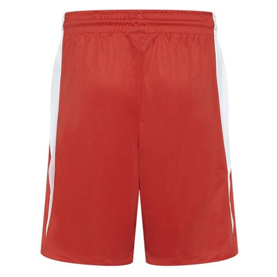 Баскетбольные мужские шорты Nike Team Basketball Stock Short 20