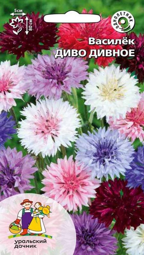 Василёк "G. Диво дивное" 0,2г., Россия. Василёк "G. Диво дивное" 0,2г., Россия.