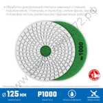 ЗУБР АГШК 125 мм, №1000, мокрое шлифование, Алмазный гибкий шлифовальный круг (29867-1000)