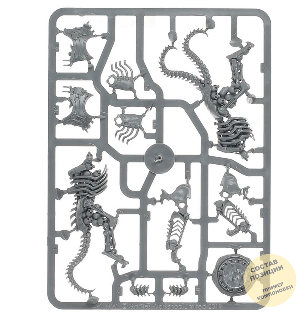 (2in1) Arch-Kavalos Zandtos / Liege Kavalos