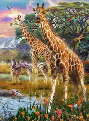 Puzzle Giraffes in Africa