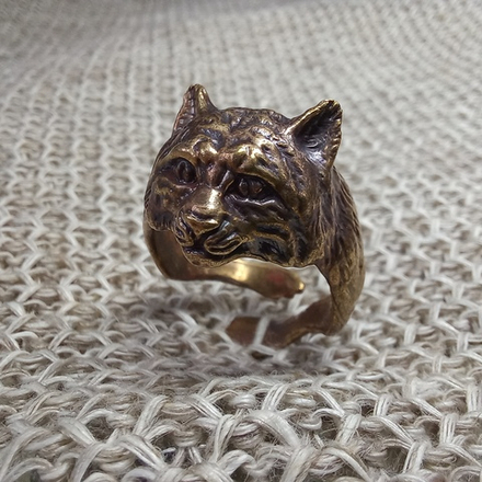 Кольцо. КотЪ