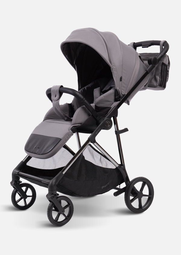 Peppy Коляска прогулочная Amici (Grey) рама Black Chrome (LX)