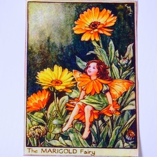 THE MARIGOLD FAIRY Панно, холст 20 / 15 см 1