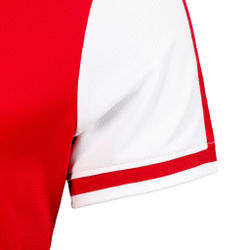 Мужское теннисное поло Fila Allan Polo Men - Red, White