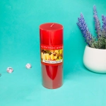 Свеча «Fantasy-Тропические фрукты» 4,8*12,4см YZ006