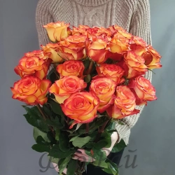 Роза цветная