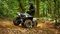 Квадроцикл YAMAHA Grizzly 700 EPS SE (ПСМ)