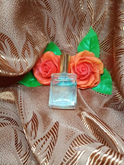 Парфюмерная вода мужская СвеТLана Mr. Newl C&M016-03 15 мл