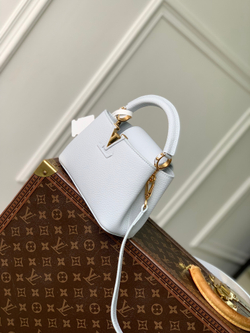 Louis Vuitton Capucines Mini