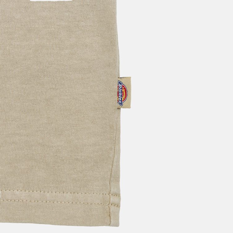 Футболка мужская Dickies Darrtown Short Sleeve Tee 