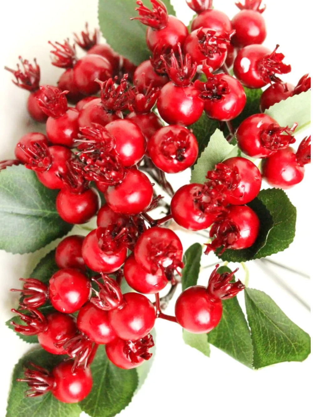 Шиповник, 5 веток.