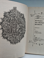 Ночью на белых конях