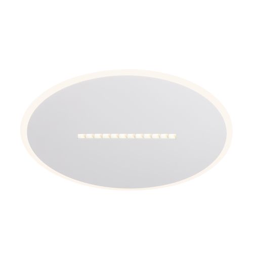 Потолочный светодиодный светильник Freya Shine FR6105CL-L73W
