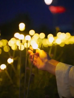 Декоративный садовый уличный светильник 6 ламп на солнечной батарее "Фонарик светлячок"