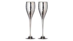 Набор фужеров для шампанского 2шт 200мл Edzard Додо