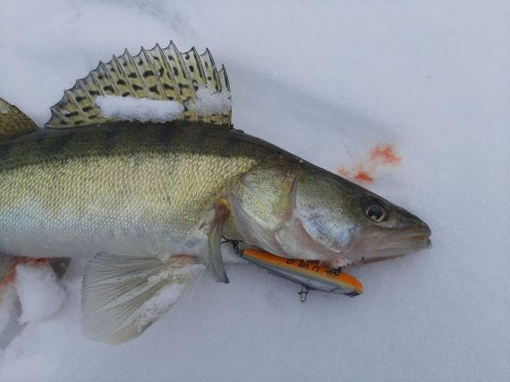 Воблер тонущий вертикальный LJ Pro Series  VIB S 68.00/144