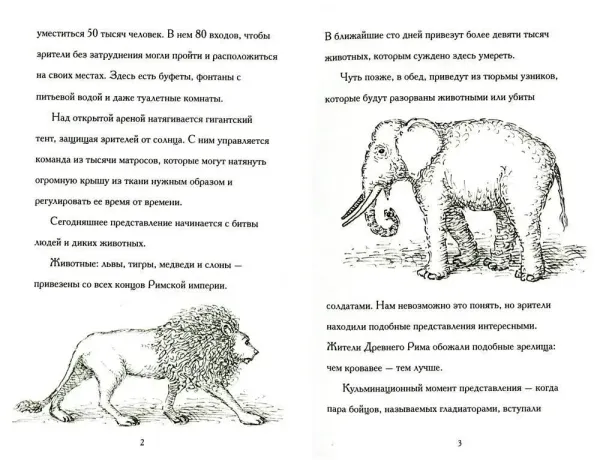 Где находится Колизей?