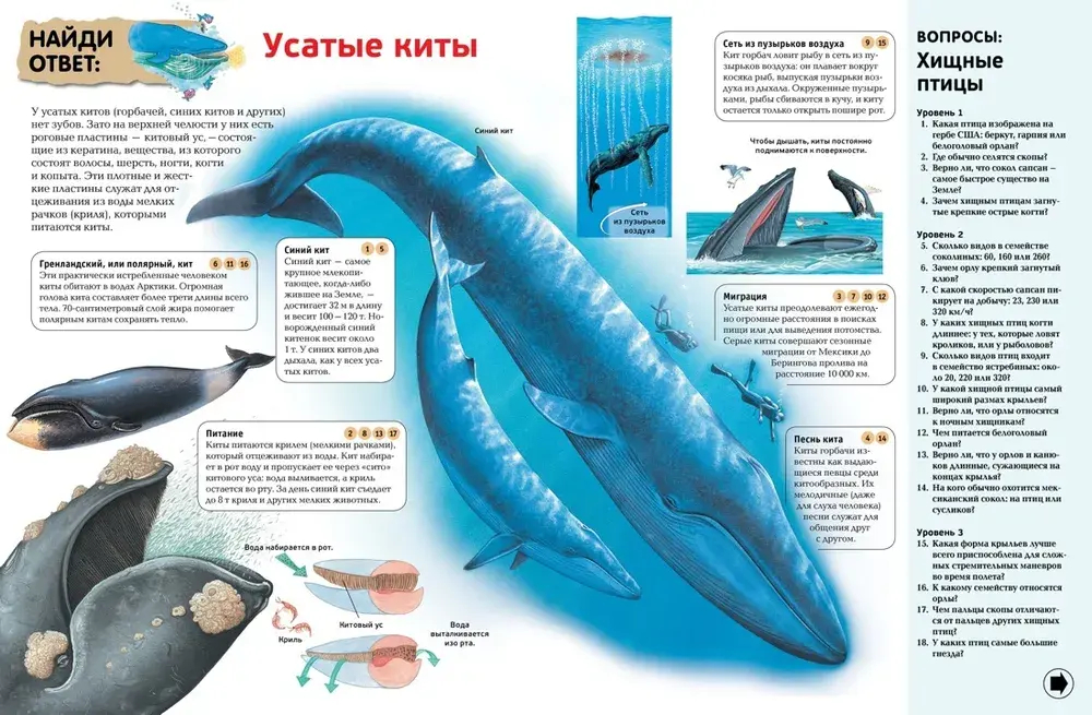 Интерактивная энциклопедия для школьников (нов.оф.*)