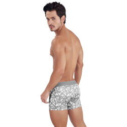 Мужские трусы хипсы серые с принтом Clever Moda GRACE TRUNKS 145612