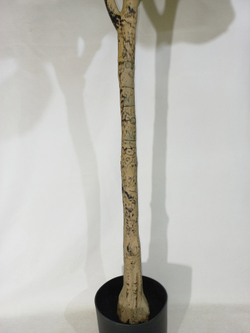 Искусственное растение разборное Фикус Лирата 180см в кашпо