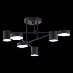 Светильник потолочный Evoluce Nobel SLE201042-06