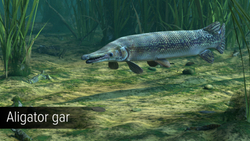 Ultimate Fishing Simulator - Amazon River (для ПК, цифровой код доступа)