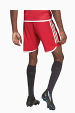 Шорты adidas Tiro 23 Competition Match