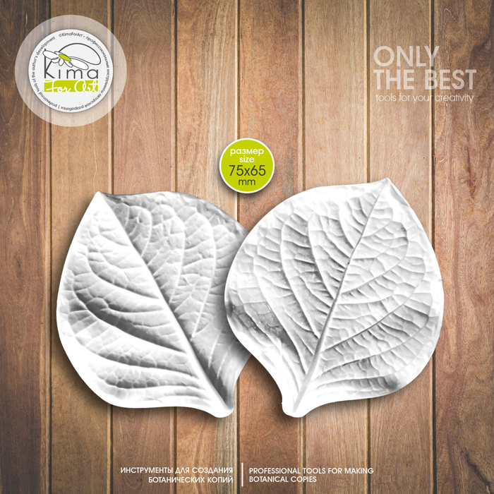 Гортензия Dolche лист большой