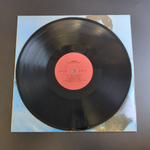 LP Mick Jagger - Wandering Spirit. Виниловая пластинка 12 дюймов.